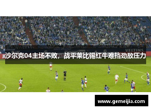 沙尔克04主场不败，战平莱比锡红牛难挡劲敌压力