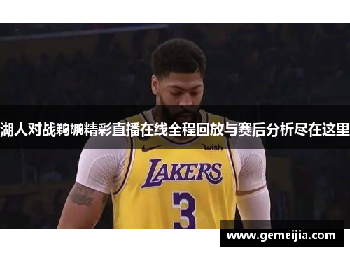 湖人对战鹈鹕精彩直播在线全程回放与赛后分析尽在这里