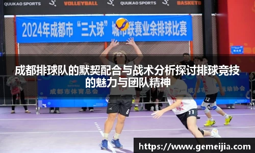 成都排球队的默契配合与战术分析探讨排球竞技的魅力与团队精神